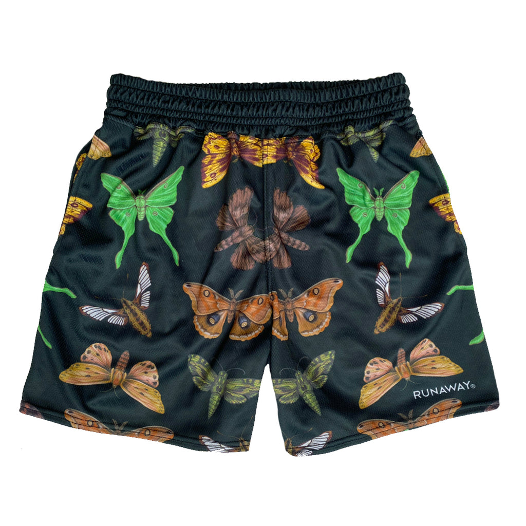 Moths of NC Shorts